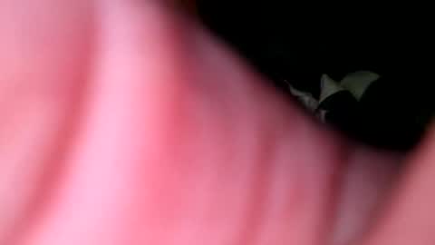 hunk1987_ online show from 04.27.26