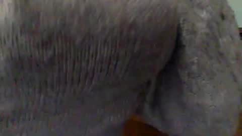 Goddess Hunyy online show from 03.01.25