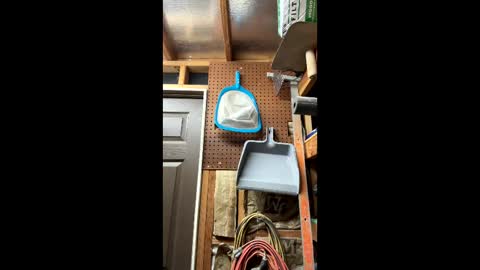 huskey300 online show from 03.06.26