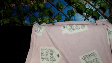 Snapshot of hustle6930 chatting on 12.07.24 Kayla online show from 12.07.24