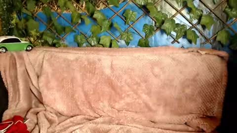 Snapshot of hustle6930 chatting on 12.21.24 Kayla online show from 12.21.24