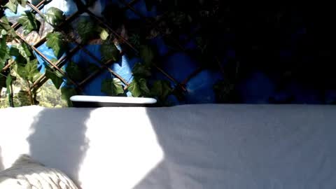 Snapshot of hustle6930 chatting on 03.03.25 Kayla online show from 03.03.25