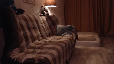 elisabeth online show from 12.13.24