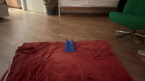 Olive online show from 10.19.25