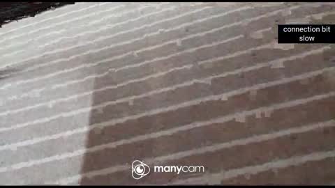 JP online show from 01.07.26