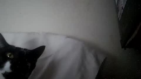 iamryan995442 online show from 04.07.26