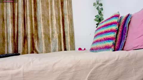 Snapshot of iamsomeone1234 chatting on 01.17.25 Iamnidhicam online show from 01.17.25