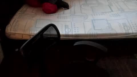 MADAM  MISTRESS ASIANA online show from 03.23.26