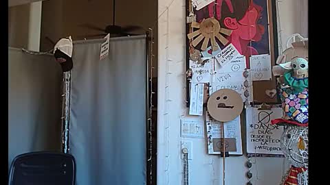 PMS online show from 12.29.24