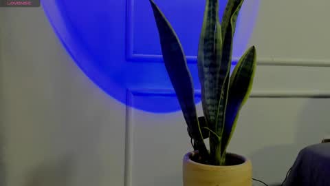 Crystall online show from 10.02.25