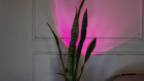 Crystall online show from 10.03.25