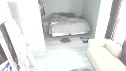 idiocracy517035 online show from 10.28.25