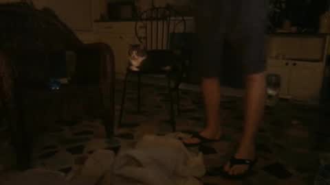 Snapshot of idksohorny chatting on 12.21.24 idksohorny online show from 12.21.24