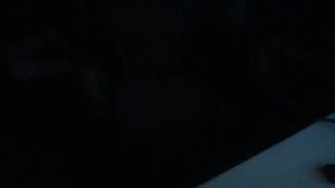 Snapshot of idksohorny chatting on 01.24.25 idksohorny online show from 01.24.25