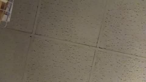 igcognito647033 online show from 02.20.26