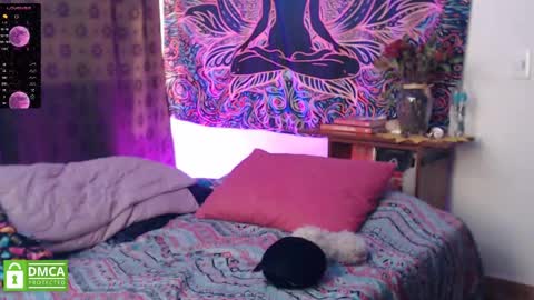 Cutie pie online show from 12.21.24