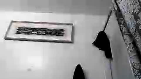 imhandy2 online show from 08.08.26