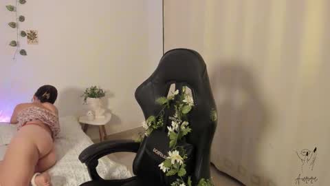 Aurora online show from 11.17.25