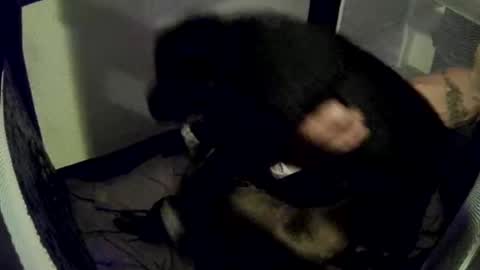 imtru online show from 02.14.25