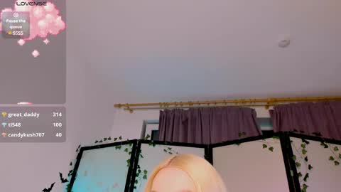 Snapshot of inchcaser chatting on 01.29.25 Dina Help me reach 100 likes online show from 01.29.25