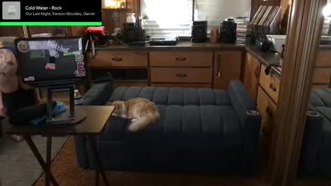 Carter online show from 10.10.25