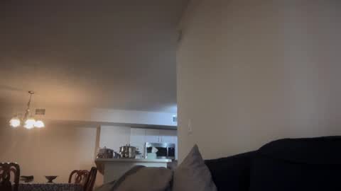 Snapshot of indiscriminator chatting on 10.18.25 just1dude online show from 10.18.25