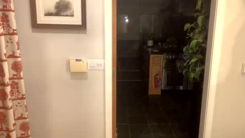 inkpiggy online show from 02.20.26