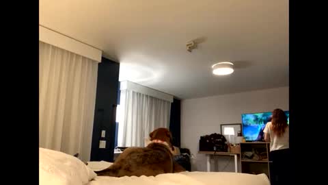 IntoTheWoodsWeGo online show from 11.27.25