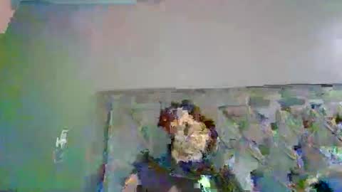 Snapshot of introducingthebrilliance chatting on 10.06.25 WillyTripleXxx online show from 10.06.25