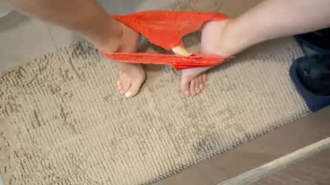 iopensusa online show from 12.27.24