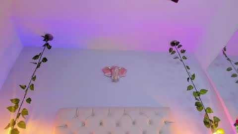   online show from 01.08.25