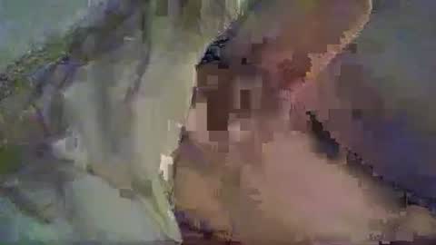 isd1969 online show from 01.27.25