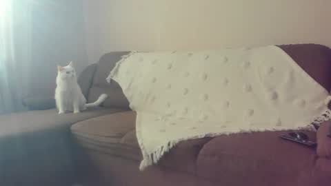 Snapshot of issabelle_69 chatting on 10.30.25 Issabelle online show from 10.30.25