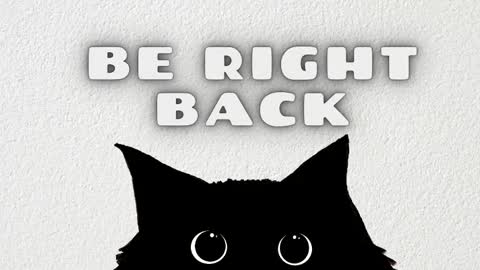 Issie online show from 01.31.26