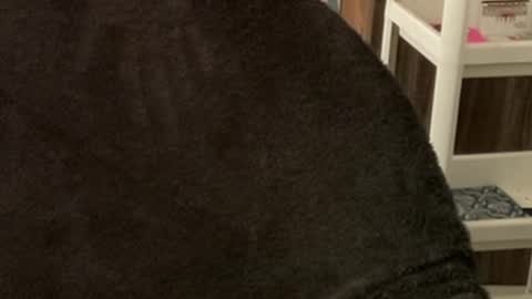 Snapshot of itsmylife021 chatting on 10.22.25 Raje online show from 10.22.25