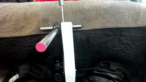 Ivis  online show from 03.04.26