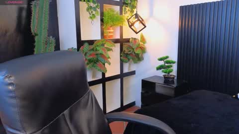  IVY online show from 10.04.25