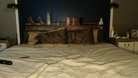 Snapshot of ivydreams chatting on 12.24.24 Ivy Dreams online show from 12.24.24