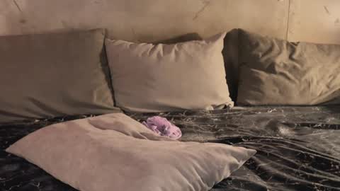 Snapshot of izi_fox chatting on 02.19.25 izi online show from 02.19.25