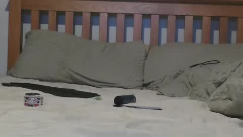 Snapshot of j281133 chatting on 11.04.25 Big 8 online show from 11.04.25