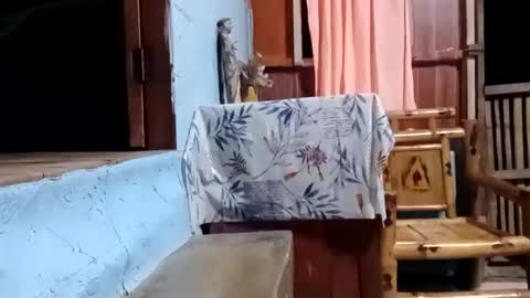 Snapshot of j828413 chatting on 10.27.25 j828413 online show from 10.27.25