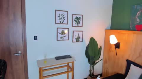 David online show from 10.02.25