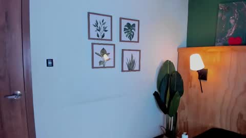 David online show from 11.25.25