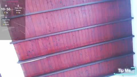   online show from 02.04.25