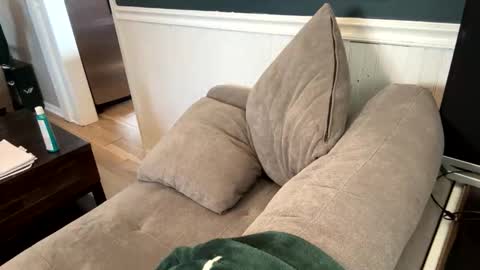 jack_daniels8101 online show from 04.07.26