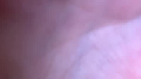 jackjackerman online show from 12.02.25