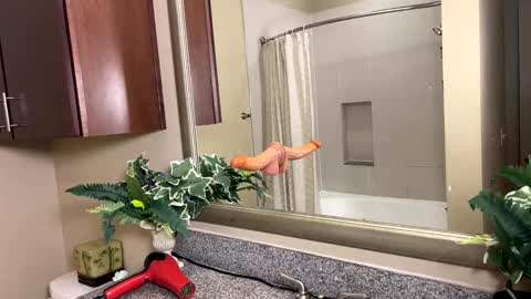 Snapshot of jacksoftboy chatting on 02.12.26 Jack Xavier Missy online show from 02.12.26