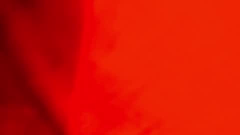 Jackson Bell online show from 12.23.24