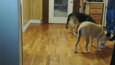 funtimes49203 online show from 01.10.26