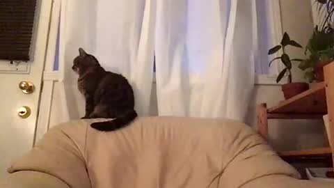 Jacob online show from 10.19.25